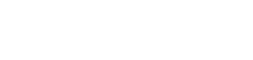 Fox Academy